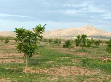 Terreno / Lote · 3480000m² · Terreno en Venta en Talamantes, Cd Delicias, Chih.