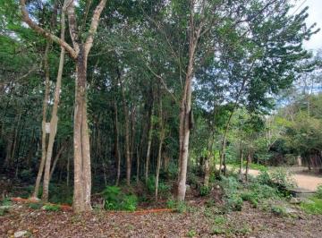 Terreno / Lote , Tulum · Terrenos en Venta en Tulum Coba