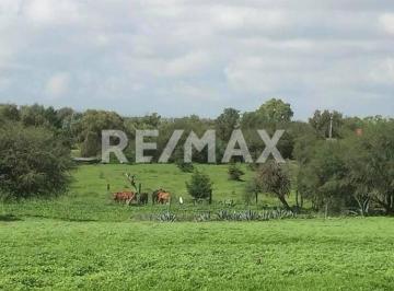Terreno / Lote · 10070m² · Venta de Terreno Residencial en Rancho Nuevo de La Banda, San Miguel de Allende, Guanajuato - (4)