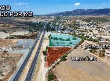 Terreno / Lote · 10000m² · Terreno en Rancho o Rancheria Ojo de Agua