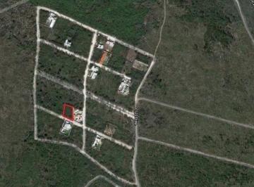 Terreno / Lote , Mérida · Terreno en Venta en Mérida con Alta Plusvalía, San Luis Cholul