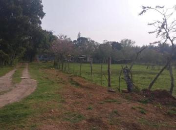 Terreno / Lote · 7000m² · Terreno en Misantla, Col. Las Rosas