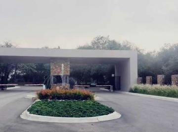 Terreno / Lote , Montemorelos · Terreno en Venta Milencinos Montemorelos
