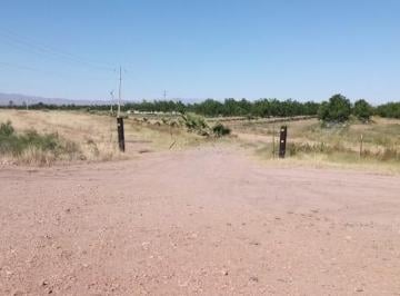 Terreno / Lote · 140000m² · Súper Nogalera y Terreno Entronque Aldama - Ojinaga