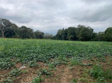 Terreno / Lote , Jamapa · Vendo Terreno Agrícola/ Ecoturístico en Jamapa, Veracruz con Orilla Al Río