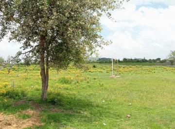 Terreno / Lote · 200m² · Se Venden Lotes de Terrrenos de 200 m