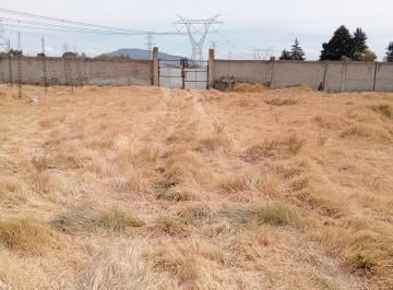 Terreno / Lote · 200m² · Terreno en Venta en Capardillas Zinacantepec