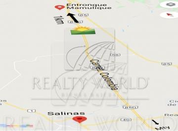 Terreno / Lote · 600m² · - Tv Lote / Terreno en Venta en Salinas Victoria