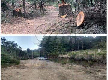 Terreno / Lote · 589970m² · - Tv Lote / Terreno en Venta en Edo de México