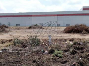 Terreno / Lote · 10000m² · - Tr Lote / Terreno en Renta en Ciénega de Flores Centro