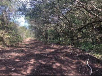 Terreno / Lote · 1420000m² · - Rv Villa en Venta en Montemorelos, N. L.
