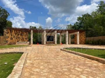 Terreno / Lote · 6400m² · - Tv Lote / Terreno en Venta en Puerto Morelos