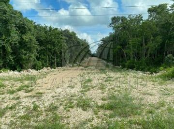 Terreno / Lote · 1600m² · - Tv Lote / Terreno en Venta en Puerto Morelos