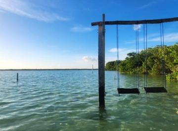 Terreno / Lote · 5000m² · Terreno en Venta - Bacalar - 50 m de Frente a La Laguna - Quintana Roo