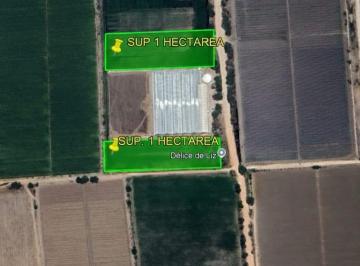 Terreno / Lote · 10000m² · Terreno en Venta en Ejido de Tequisquiapan 1 Hectárrea (Escriturado)