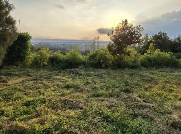 Terreno / Lote · 6059m² · Terreno - Tenancingo de Degollado