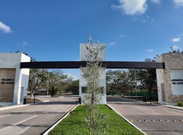 Venta de terreno en privada Manantiales del Mayab.
Manantiales del Mayab represe · Terreno de 300 m² en Venta, Praderas del Mayab Conkal
