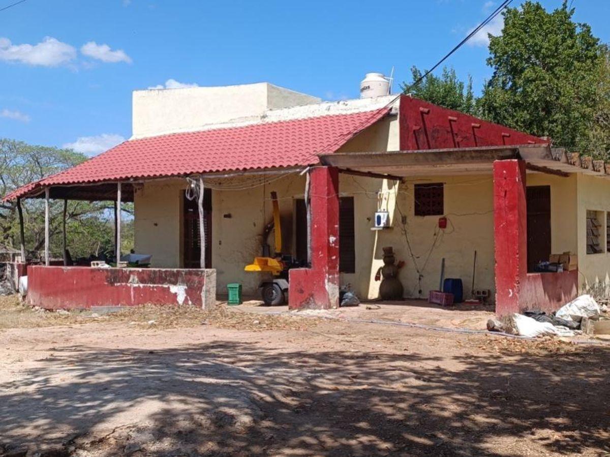 Rancho de 680 Ha con Irrigación a 20 Kms. de Izamal. Vocación Agrícola y Ganadera
