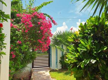 0b4c5afb9e68dd50271a0c8c33fa02babc8471cdc508b3dba4884d0143aaf10d · Departamento en Venta en Chicxulub – a Solo 3 Minutos de La Playa