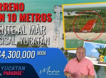 Terreno / Lote · 600m² · Terreno en Sisal Frente Al Mar de 10 m X 60 m