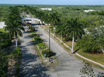Terreno / Lote · 2445m² · Privada Lista Entre Mérida y Progreso, Phula Dzidzilche Terrenos de 2,445 m² y 2,624 m²