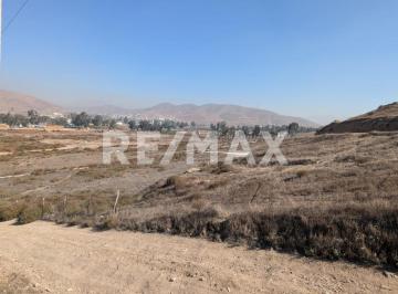 Terreno / Lote · 60000m² · Terreno en Venta El Carricito, Tecate, Baja California - (4)