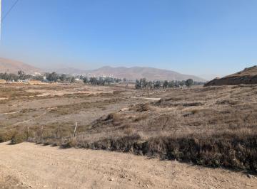 Terreno / Lote · 60000m² · Terreno en Venta El Carricito, Tecate, Baja California - (4)
