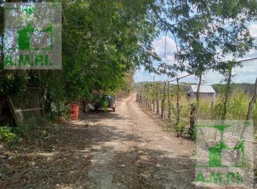 Terreno / Lote · 100000m² · Terreno en Carretera Huayamon - Edzna