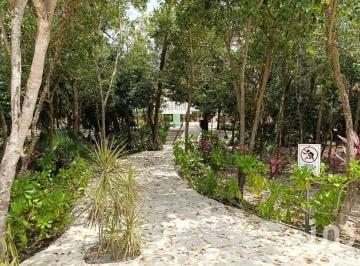 Terreno / Lote · 162m² · Terreno Residencial en Aldea Kaan Ecohabitat, Puerto Morelos.
