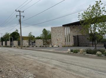 Terreno / Lote · 1421m² · Venta Terreno Campestre Credito Directo Inmediato Montemorelos Nuevo León, México - (4)