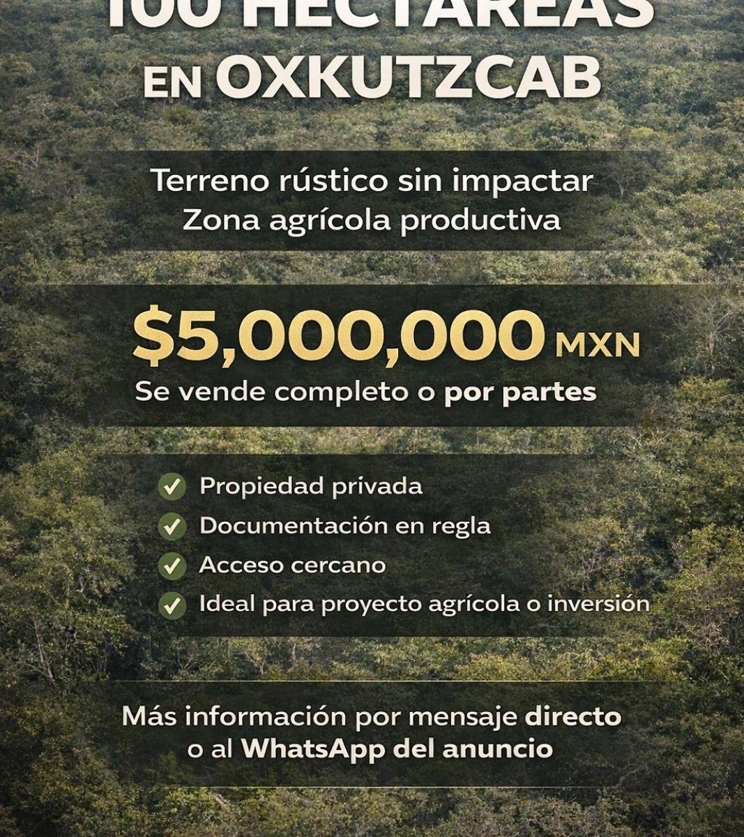 100 Hectares of Rustic Land for Sale in Oxkutzcab | Private Property $4/m&sup2;