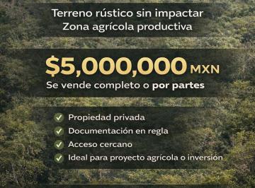 Terreno / Lote · 100 Hectáreas Rústicas en Venta en Oxkutzcab | Propiedad Privada $5/m²