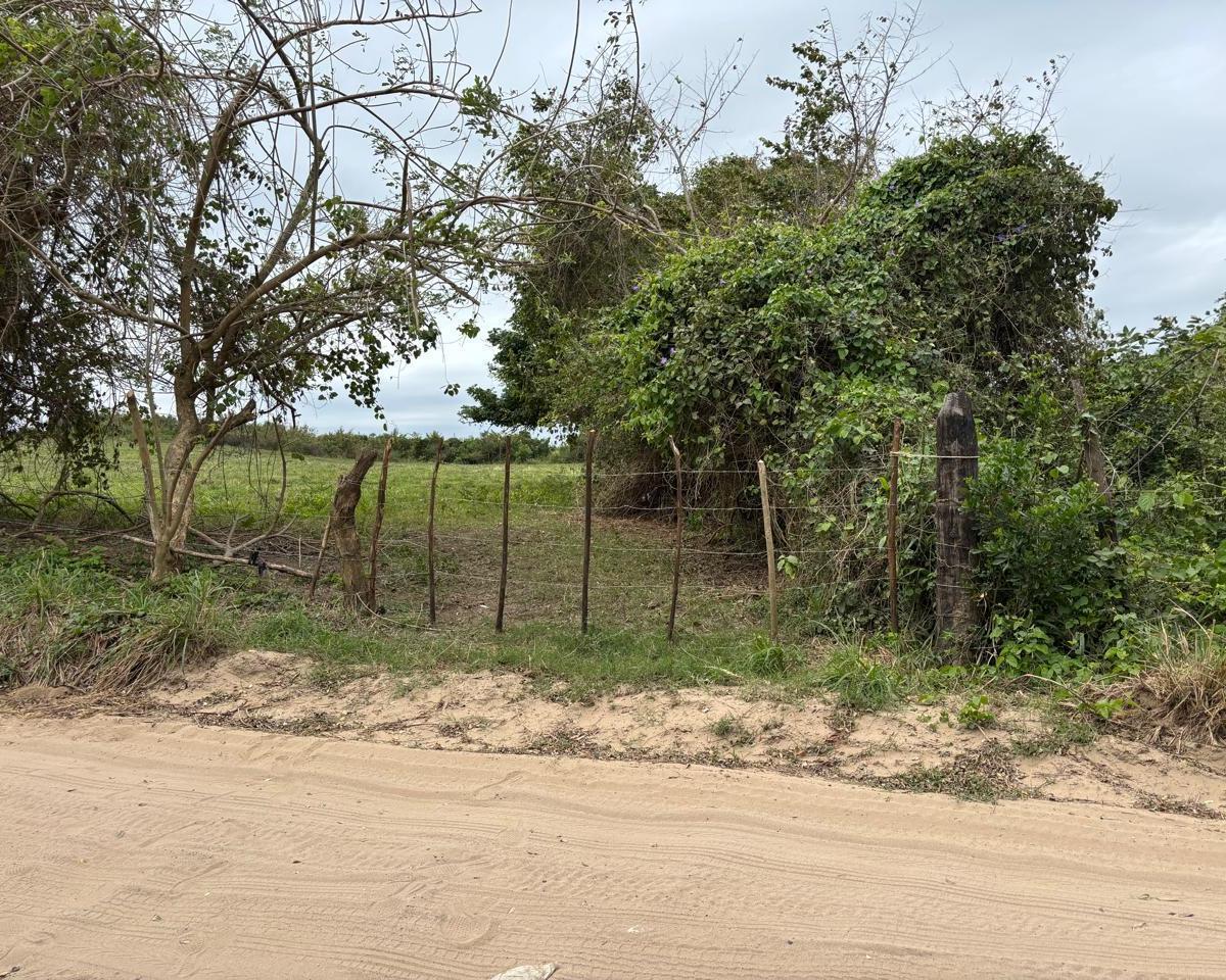 Terreno en Pueblo Isla Juana Ramirez