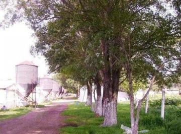 Terreno / Lote · 30000m² · Terreno en Venta Teoloyucan