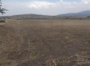 Terreno / Lote · 1650000000m² · Terreno Soyaniquilpan en Venta