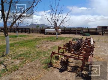 Quinta · 400000m² · Rancho en Venta en El Sauz