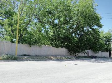Terreno / Lote , Parras · Terreno en Venta en Parras de La Fuente
