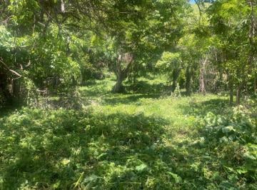 Terreno / Lote · Terreno en Venta en Troncones.