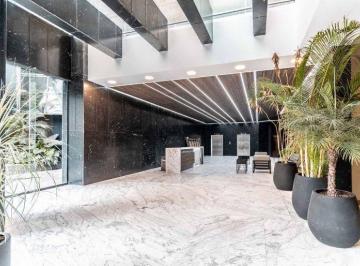 Edificio · 16000m² · 200 Estacionamientos · Edificio Renta Insurgentes Sur 16,000 m²