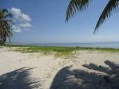 Terreno / Lote · 1500m² · Terreno en Venta Mahahual, El Uvero, Frente Al Mar