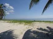 Terreno / Lote · 1500m² · Terreno en Venta Mahahual, El Uvero, Frente Al Mar