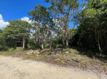 Terreno / Lote · 500m² · Terrenos en Tulum