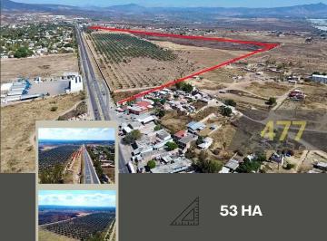 Terreno / Lote · 530000m² · Terreno en Fraccionamiento Lomas de Comanjilla