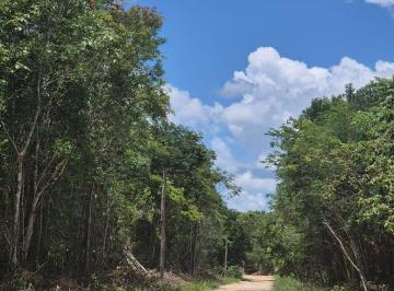 Terreno / Lote · 1000m² · Terrenos en Tulum 1000 m²