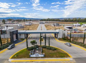 Terreno / Lote · 250m² · Terreno en Venta en Fraccionamiento Residencial Villa Italiana - (4)