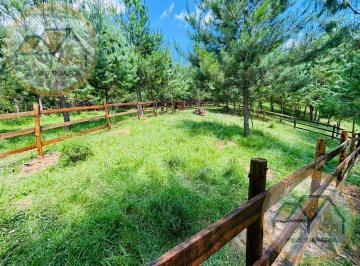 Terreno / Lote · 150m² · Terreno en Venta Carretera Perote - Xalapa (Bosque Ciclo Verde)