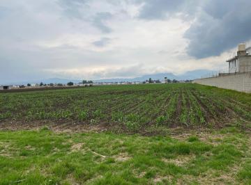 Terreno / Lote · 11794m² · Terreno en Calimaya