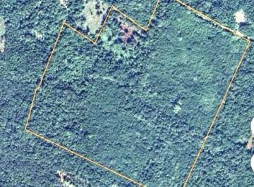 Terreno / Lote · 160207m² · Terreno Chichimila Valladolid Yucatan