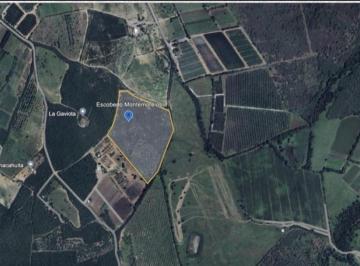 Terreno / Lote · 35862m² · Terreno - Gral. Escobedo