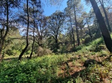 Terreno / Lote · 11038m² · Terreno de 11000 m² a 7 Min de La Caseta Desviación Amanalco